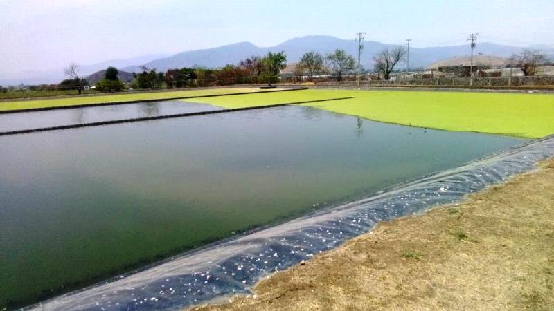 Planta tratamiento de aguas